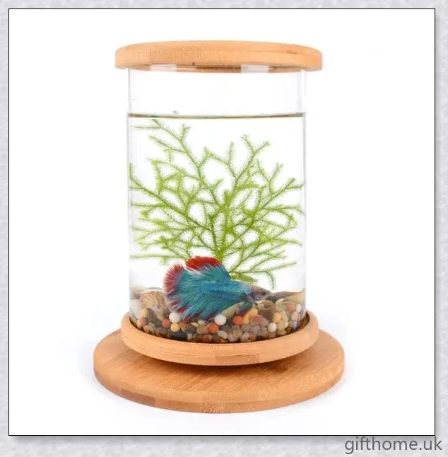 Glass Betta Fish Tank with Bamboo Base, a unique and visually striking aquarium that showcases your betta fish in a 360-degree rotating design.