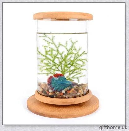 Glass Betta Fish Tank with Bamboo Base, a unique and visually striking aquarium that showcases your betta fish in a 360-degree rotating design.