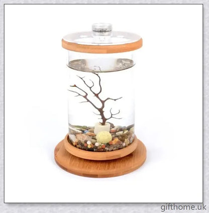 Glass Betta Fish Tank with Bamboo Base, a unique and visually striking aquarium that showcases your betta fish in a 360-degree rotating design.