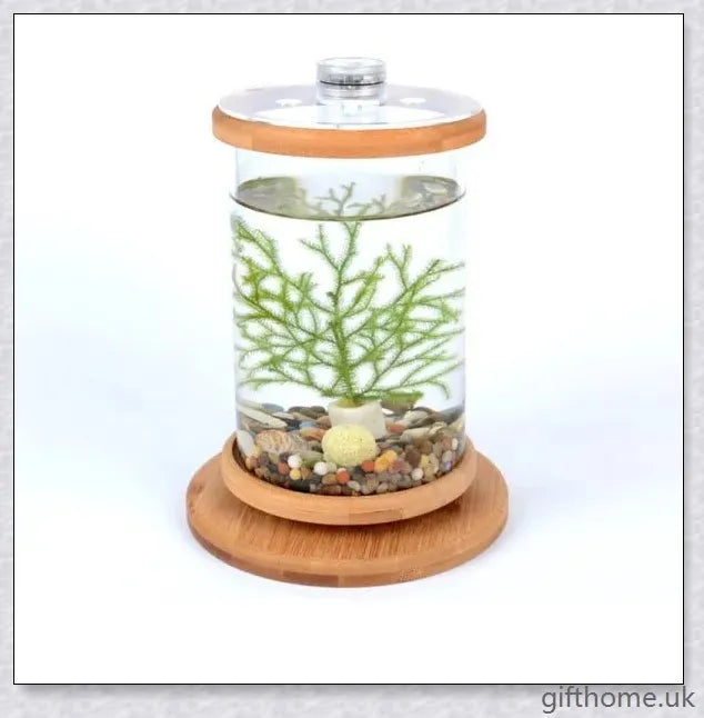 Glass Betta Fish Tank with Bamboo Base, a unique and visually striking aquarium that showcases your betta fish in a 360-degree rotating design.
