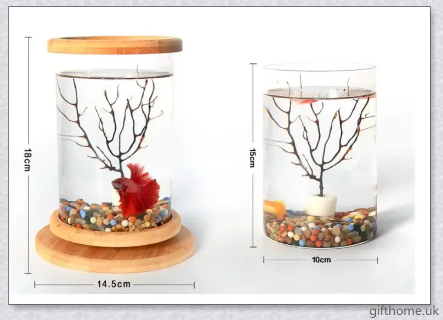 Glass Betta Fish Tank with Bamboo Base, a unique and visually striking aquarium that showcases your betta fish in a 360-degree rotating design.