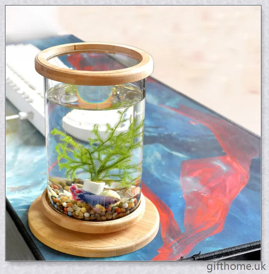 Glass Betta Fish Tank with Bamboo Base, a unique and visually striking aquarium that showcases your betta fish in a 360-degree rotating design.