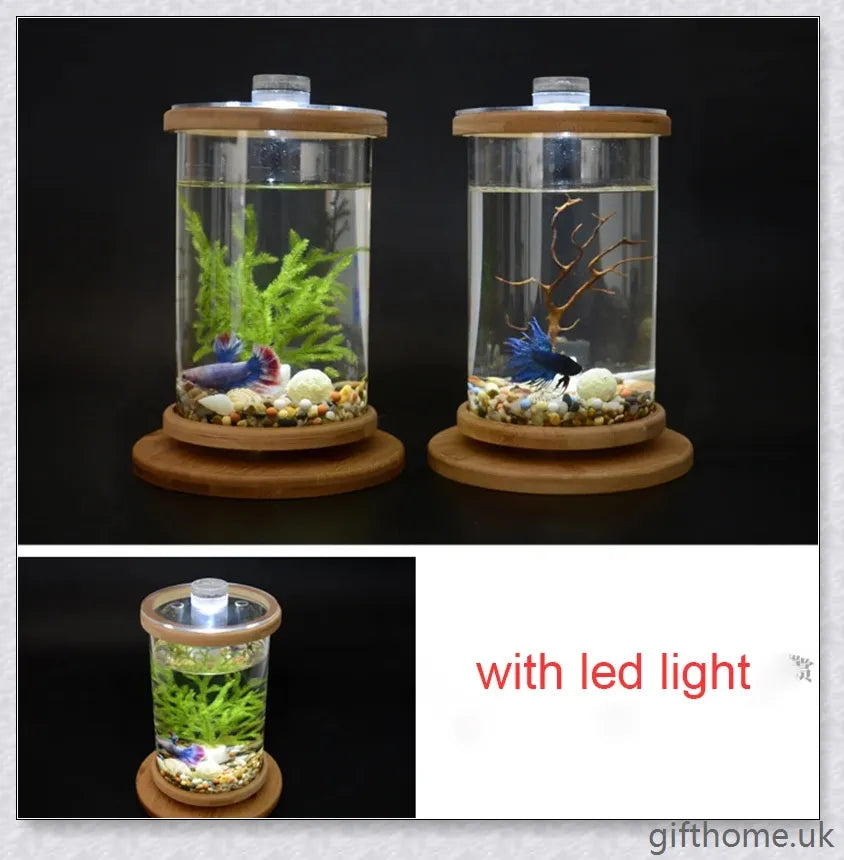 Glass Betta Fish Tank with Bamboo Base, a unique and visually striking aquarium that showcases your betta fish in a 360-degree rotating design.