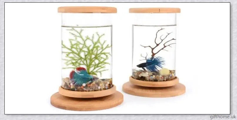 Glass Betta Fish Tank with Bamboo Base, a unique and visually striking aquarium that showcases your betta fish in a 360-degree rotating design.