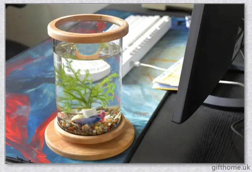 Glass Betta Fish Tank with Bamboo Base, a unique and visually striking aquarium that showcases your betta fish in a 360-degree rotating design.
