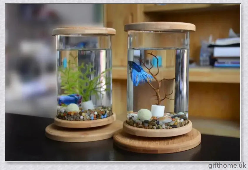 Glass Betta Fish Tank with Bamboo Base, a unique and visually striking aquarium that showcases your betta fish in a 360-degree rotating design.
