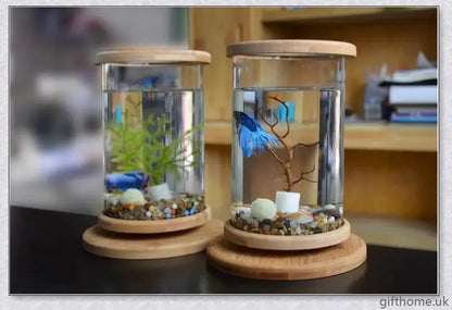 Glass Betta Fish Tank with Bamboo Base, a unique and visually striking aquarium that showcases your betta fish in a 360-degree rotating design.