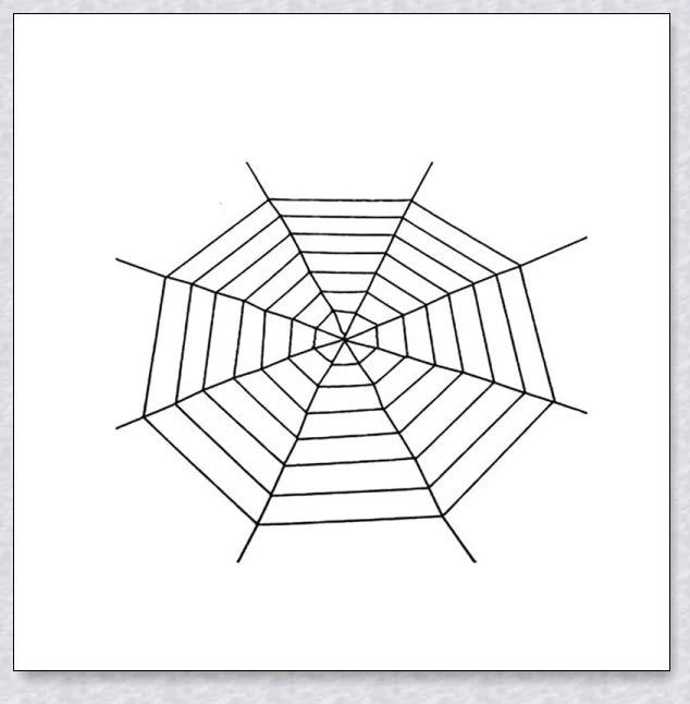 Massive black and white Halloween spider web decoration that stretches across large areas, creating a haunting atmosphere