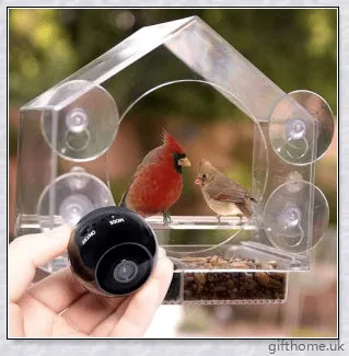 Bird Buddy Smart Bird Feeder With Camera - Observe wild birds in your backyard with this motion-activated camera feeder