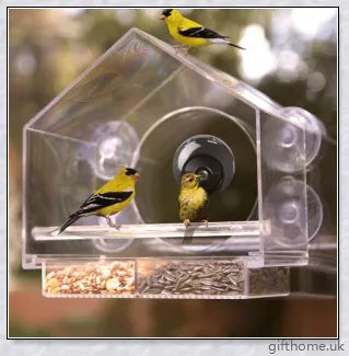 Bird Buddy Smart Bird Feeder With Camera - Observe wild birds in your backyard with this motion-activated camera feeder