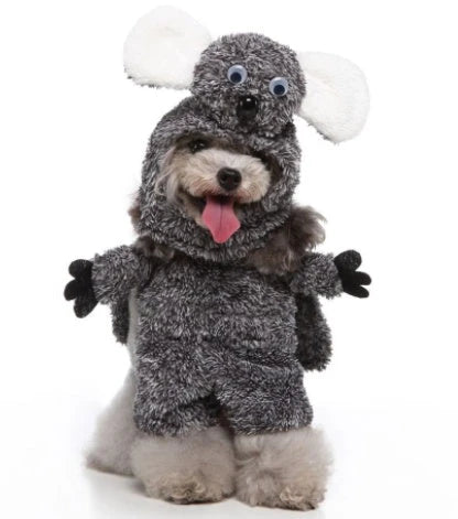 A charming pet costume with a three-piece ensemble of a whimsical hat, cosy clothing, and a dashing cloak, designed to make your furry friend the life of the party.