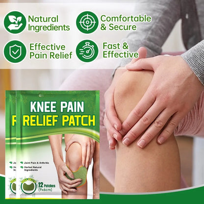 Argy Wormwood Knee Plaster pack with self-heating analgesic for joint care