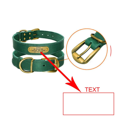 Personalized leather dog collar with golden nameplate ID tag for medium to large dogs