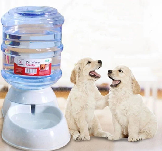 Automatic pet feeder and water dispenser for cats and dogs, available in green