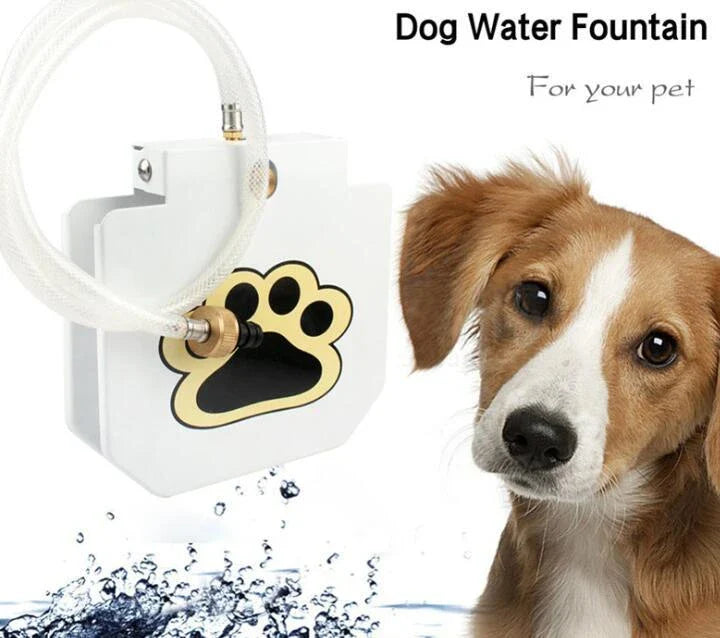 Heavy-duty outdoor dog water fountain with paw-activated water release and durable steel construction