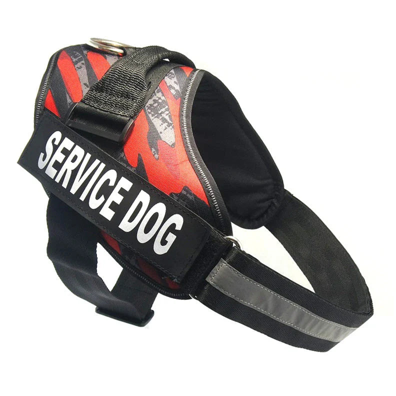 Premium nylon dog chest harness with adjustable fit for comfort and support during outdoor activities