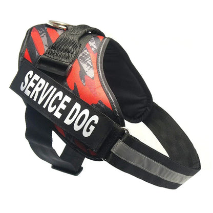 Premium nylon dog chest harness with adjustable fit for comfort and support during outdoor activities