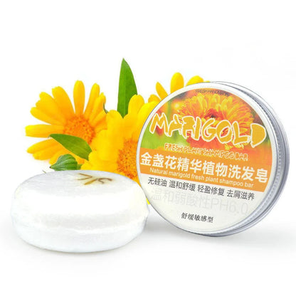 Ginger-infused nourishing shampoo conditioner essential oil soap for healthy hair and scalp