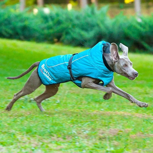 Waterproof reflective nylon pet coat in blue, purple, and orange for dogs