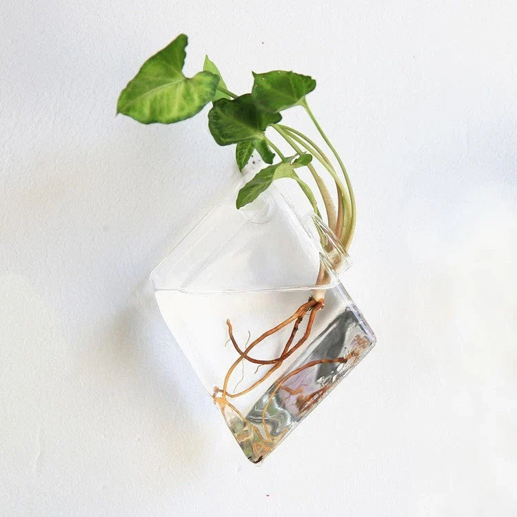 Elegant glass wall hanging flower vase planter terrarium with various shapes and sizes