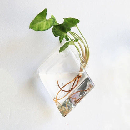 Elegant glass wall hanging flower vase planter terrarium with various shapes and sizes