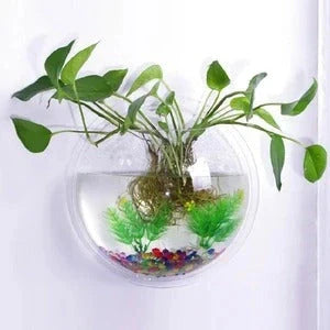 Stylish acrylic wall-mounted fish bowl for modern homes