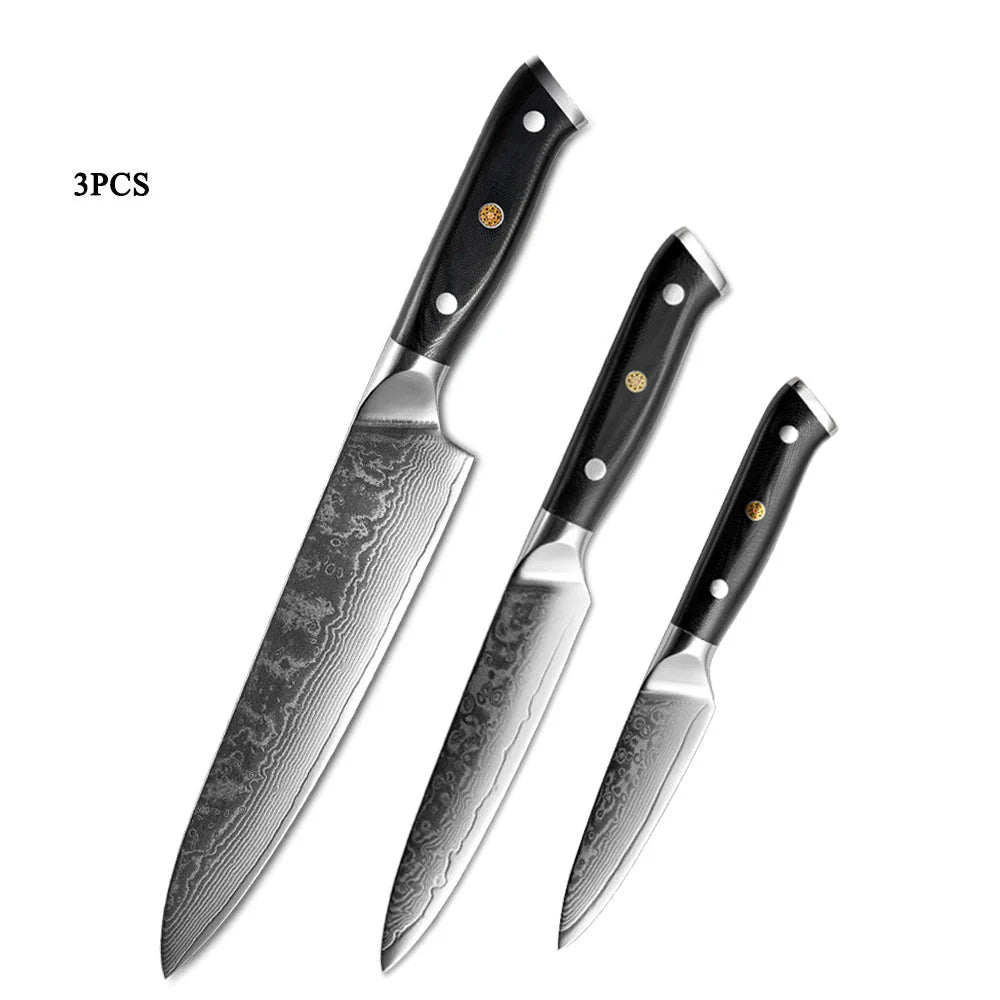 Premium Japanese Damascus steel kitchen and fruit knife set with G10 handle