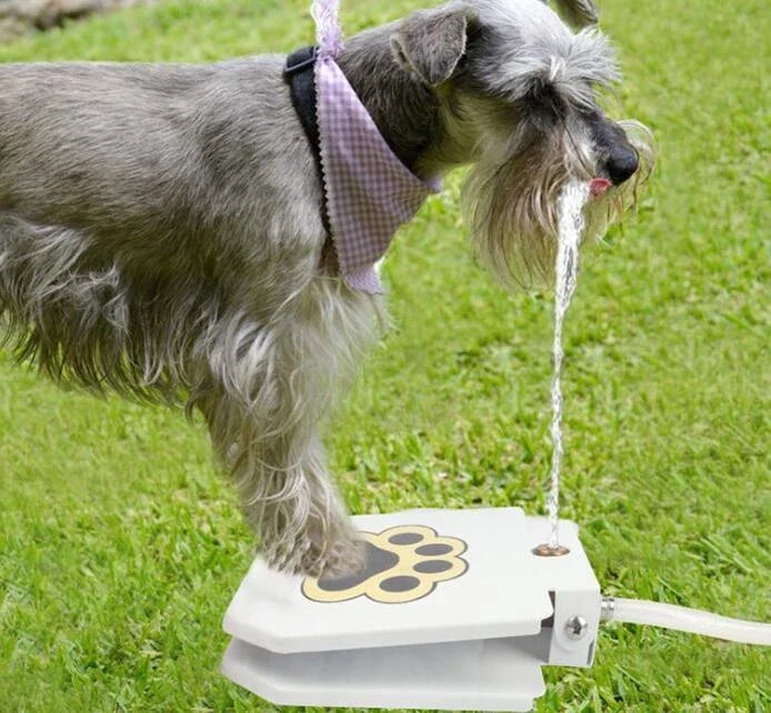 Heavy-duty outdoor dog water fountain with paw-activated water release and durable steel construction