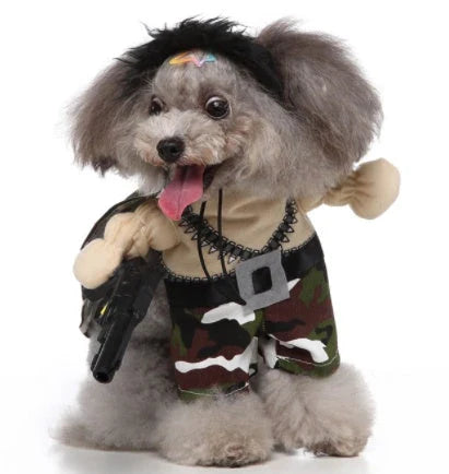 A charming pet costume with a three-piece ensemble of a whimsical hat, cosy clothing, and a dashing cloak, designed to make your furry friend the life of the party.