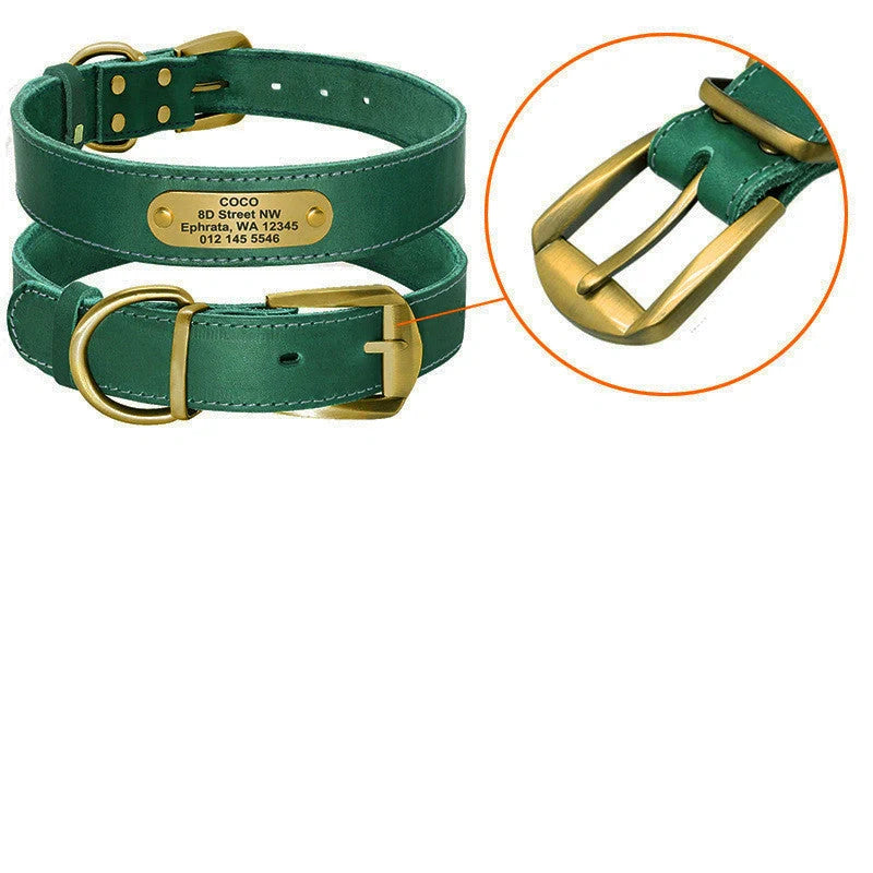 Personalized leather dog collar with golden nameplate ID tag for medium to large dogs