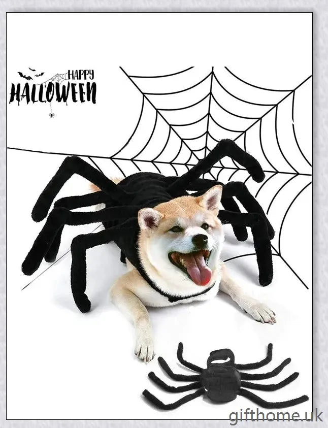 Arachnopup Halloween Dog Spider Costume - Adorable pet attire for spooky season celebrations