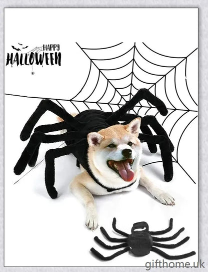 Arachnopup Halloween Dog Spider Costume - Adorable pet attire for spooky season celebrations