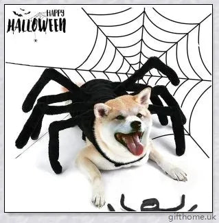 Arachnopup Halloween Dog Spider Costume - Adorable pet attire for spooky season celebrations