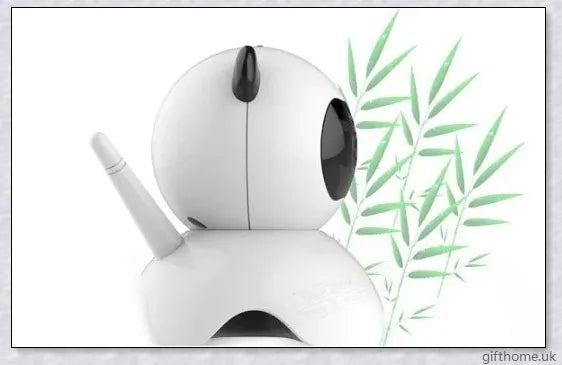 Care Home Security Panda Camera - a 1080p surveillance camera with motion detection, night vision, and two-way communication for elderly care facilities