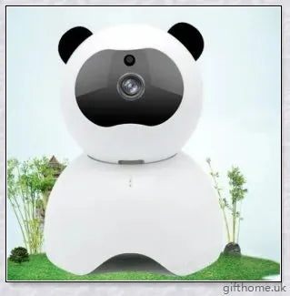 Care Home Security Panda Camera - a 1080p surveillance camera with motion detection, night vision, and two-way communication for elderly care facilities