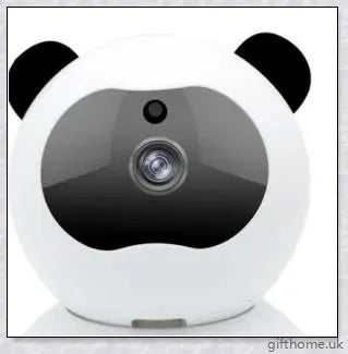 Care Home Security Panda Camera - a 1080p surveillance camera with motion detection, night vision, and two-way communication for elderly care facilities