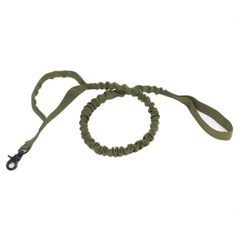 Retractable dog lead for outdoor training in various colors