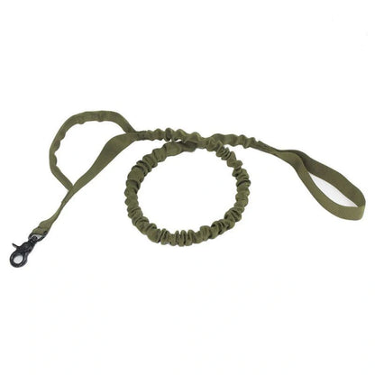 Retractable dog lead for outdoor training in various colors