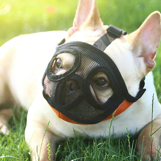 Adjustable breathable dog muzzle in various colours and sizes for flat-faced breeds like French Bulldogs