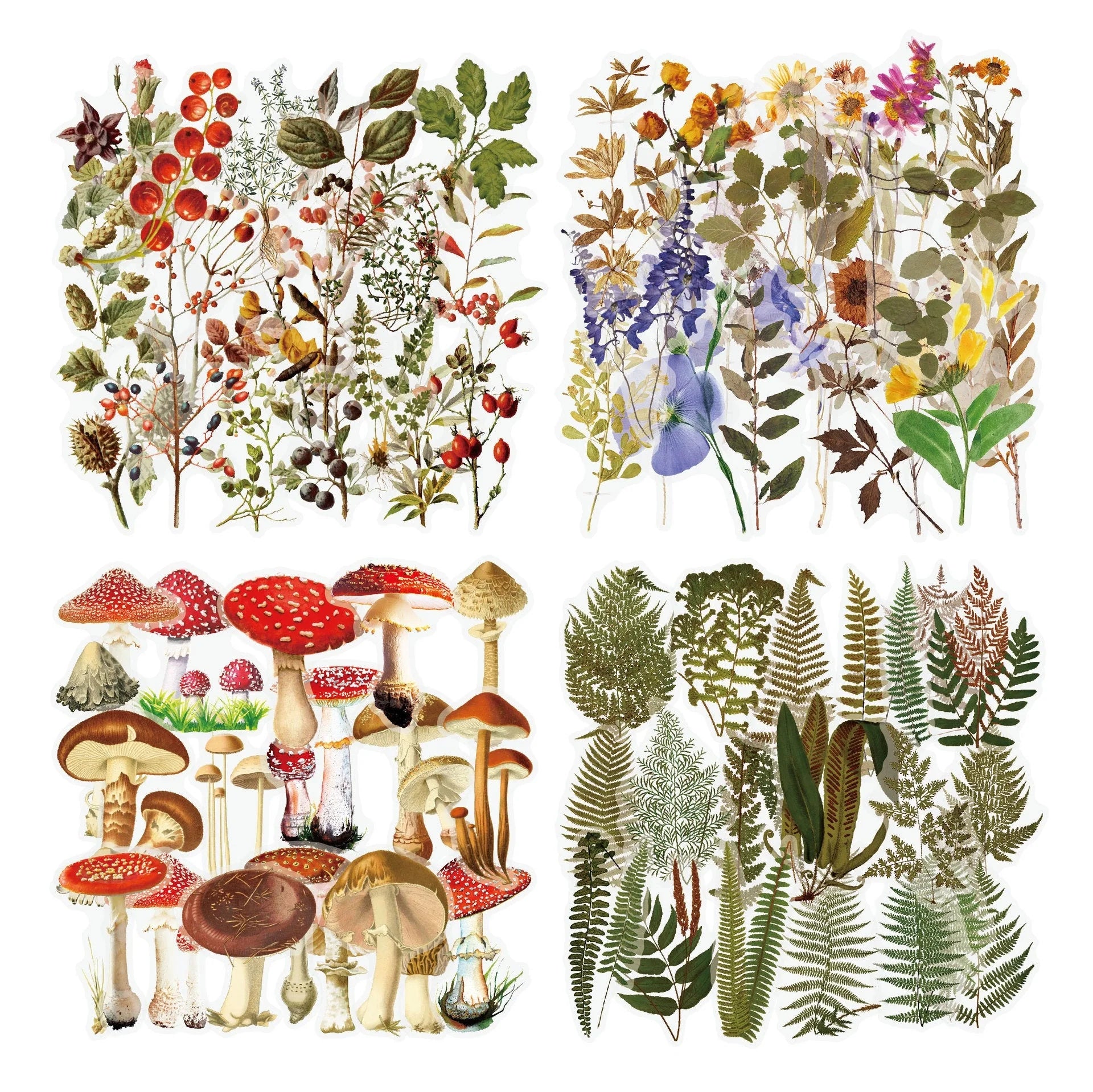 Retro Flower Nature DIY Sticker Pack with transparent flower and mushroom designs