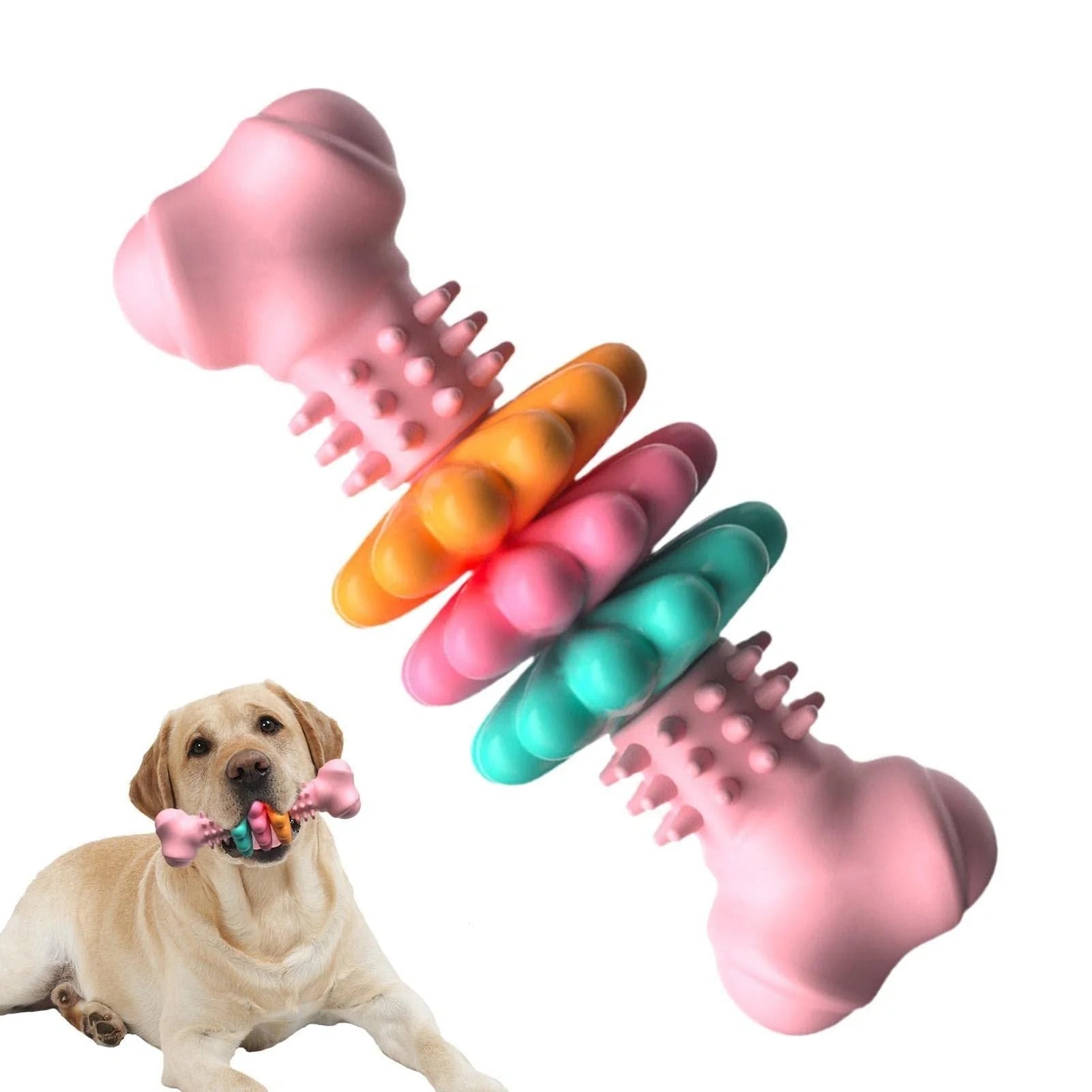 TPR dog chew toy bone shape in blue, pink, and green for teeth cleaning and stress relief