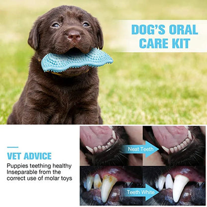 Natural rubber teeth cleaning dog toy for puppies, safe and durable
