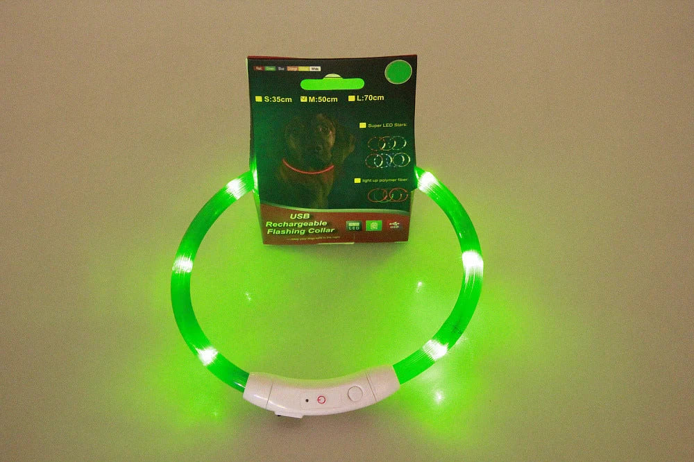 USB rechargeable LED pet safety collar for night visibility