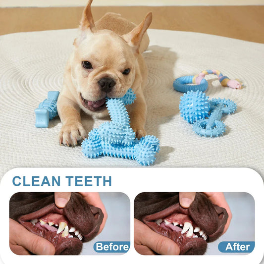 A set of interactive dog chew toys designed to clean teeth and promote dental health for small and medium breed dogs