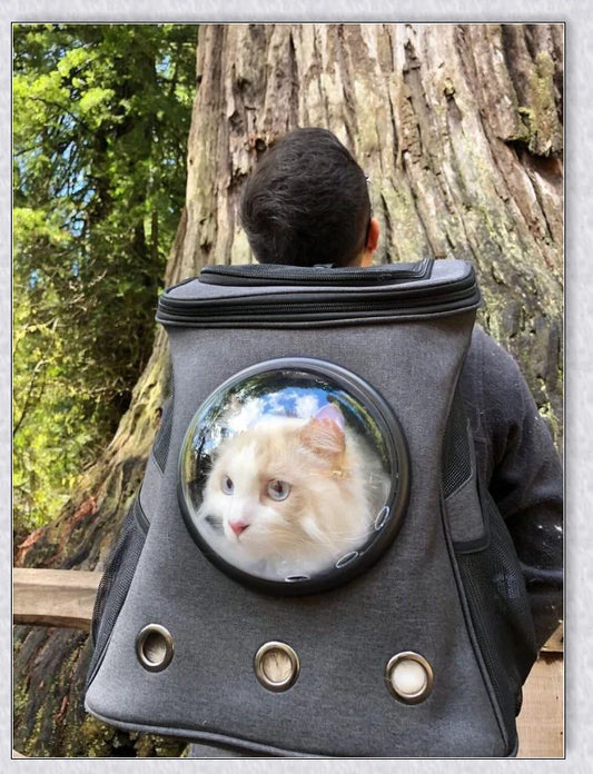A versatile cat backpack designed to accommodate larger 'big boned' cats, two medium-sized cats, or multiple kittens, with breathable mesh panels and a secure clip and bungee system.