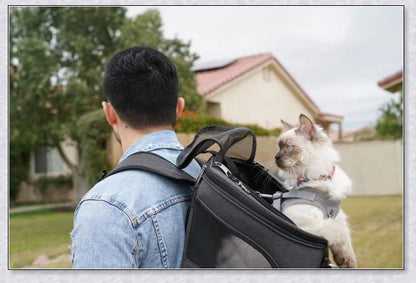 A versatile cat backpack designed to accommodate larger 'big boned' cats, two medium-sized cats, or multiple kittens, with breathable mesh panels and a secure clip and bungee system.