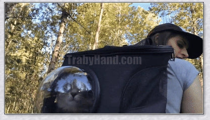 A versatile cat backpack designed to accommodate larger 'big boned' cats, two medium-sized cats, or multiple kittens, with breathable mesh panels and a secure clip and bungee system.
