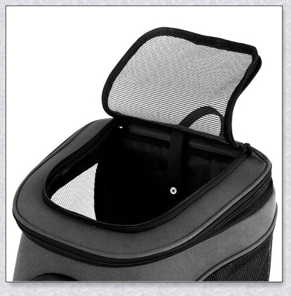A versatile cat backpack designed to accommodate larger 'big boned' cats, two medium-sized cats, or multiple kittens, with breathable mesh panels and a secure clip and bungee system.