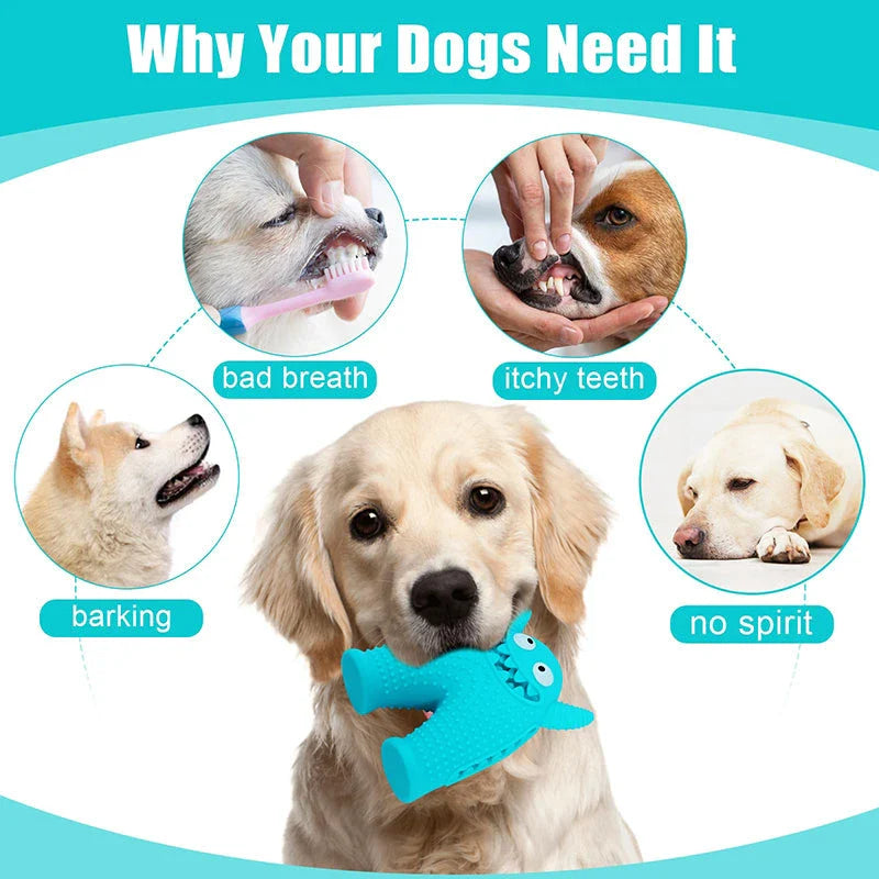 Durable Squeaky Dog Toy for Aggressive Chewers - Blue Colour