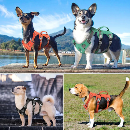 Reflective Nylon Dog Harness with Handle - Durable, Adjustable, and Designed for Visibility and Control